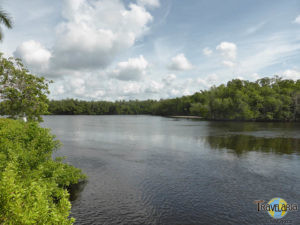Everglades Airboattour. (1)
