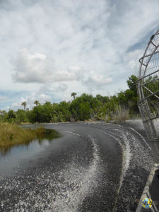 Everglades Airboattour. (3)