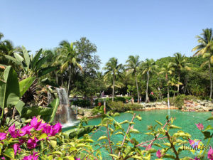 Miami: Venetian Pool.
