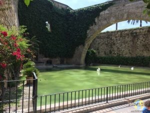 Mallorca: An der Cathedrale in Palma.