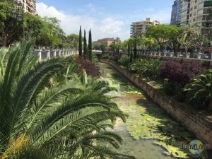 Mallorca: Palma Stadt. (2)