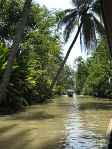 Damnoen Saduak Floating Market. (1)