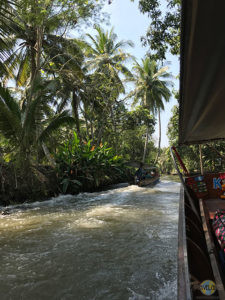 Damnoen Saduak Floating Market. (3)