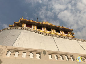 Gold Mount. (1)
