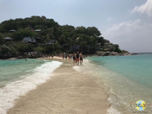 Koh Nang Yuan. (2)