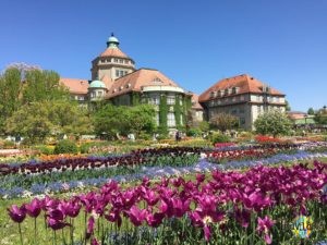 München: Botanischer Garten. (1)